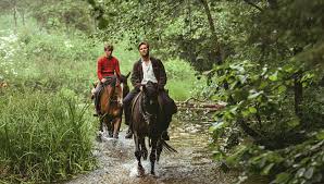 Our stealing horses - Ricordi