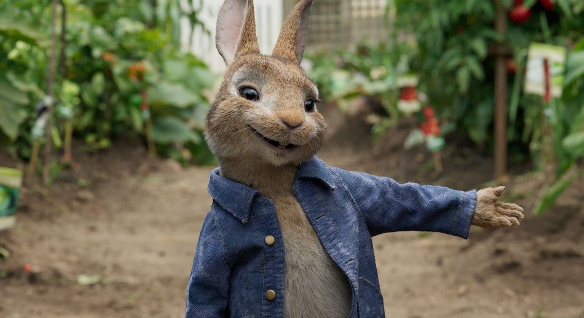 Peter Rabbit 2 - Un birbante in fuga