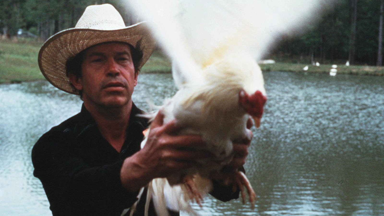 Cockfighter