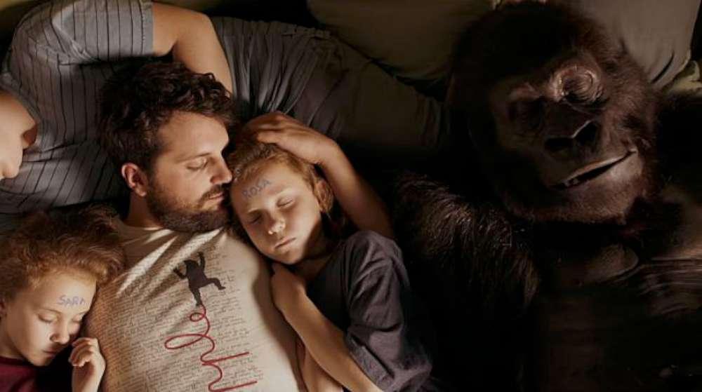 Attenti al gorilla - Scivolone