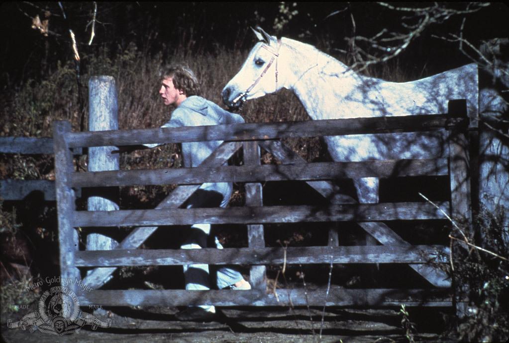 Equus. Limite della follia